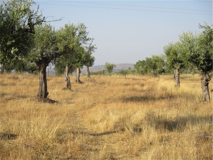 Image No.17-Property for sale