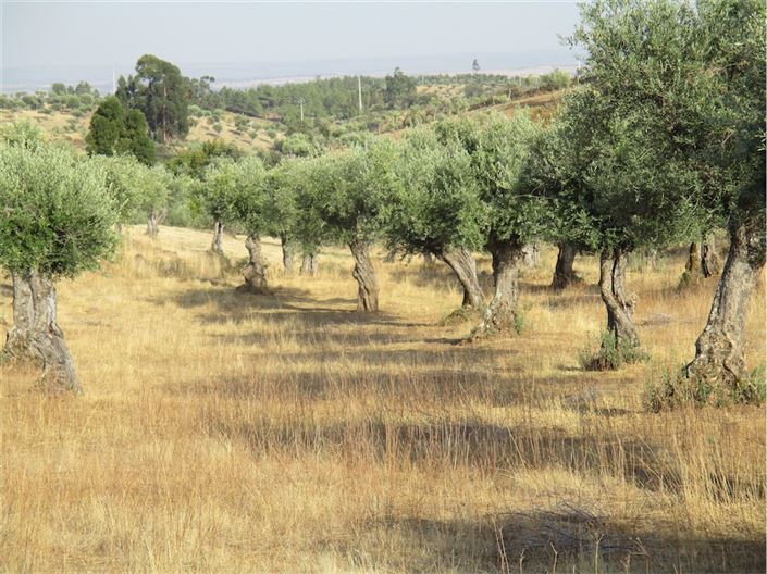 Image No.19-Property for sale