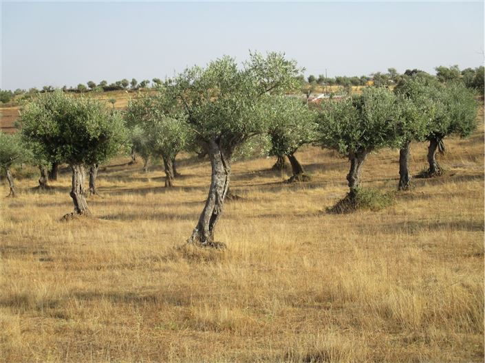 Image No.20-Property for sale