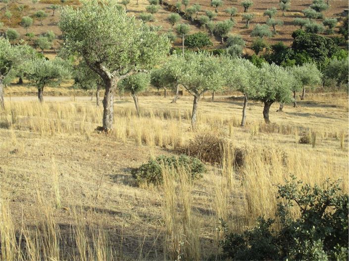 Image No.21-Property for sale