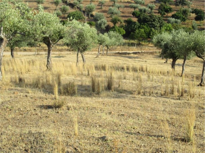 Image No.22-Property for sale