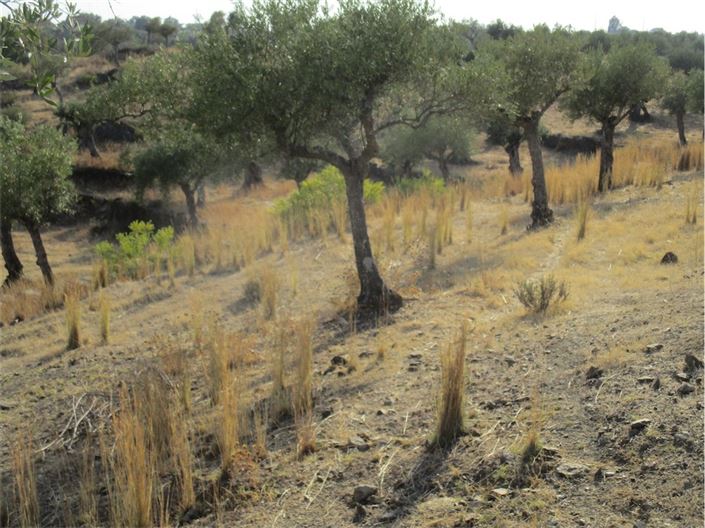 Image No.23-Property for sale