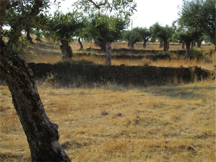 Image No.24-Property for sale