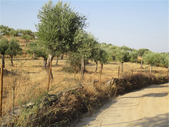 Image No.25-Property for sale