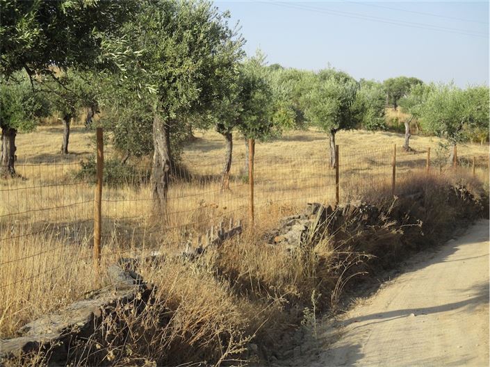 Image No.26-Property for sale