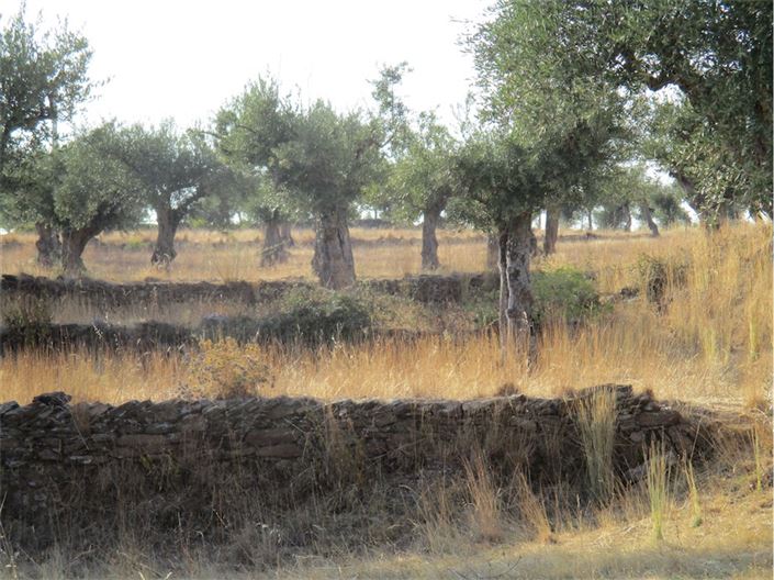 Image No.28-Property for sale