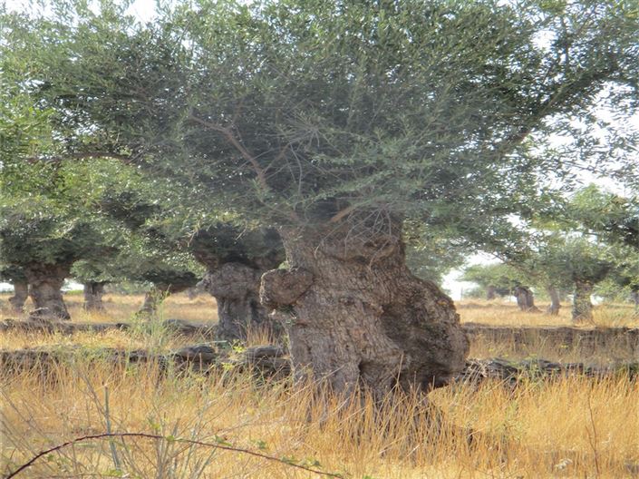 Image No.29-Property for sale