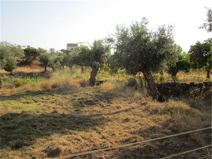 Image No.4-Property for sale