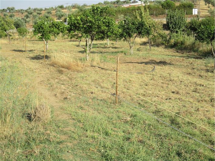 Image No.5-Property for sale