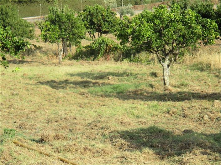 Image No.6-Property for sale