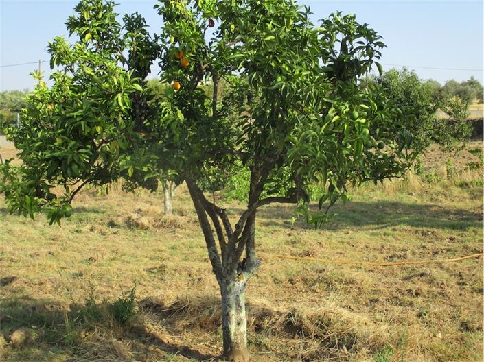 Image No.7-Property for sale