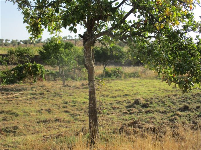 Image No.8-Property for sale