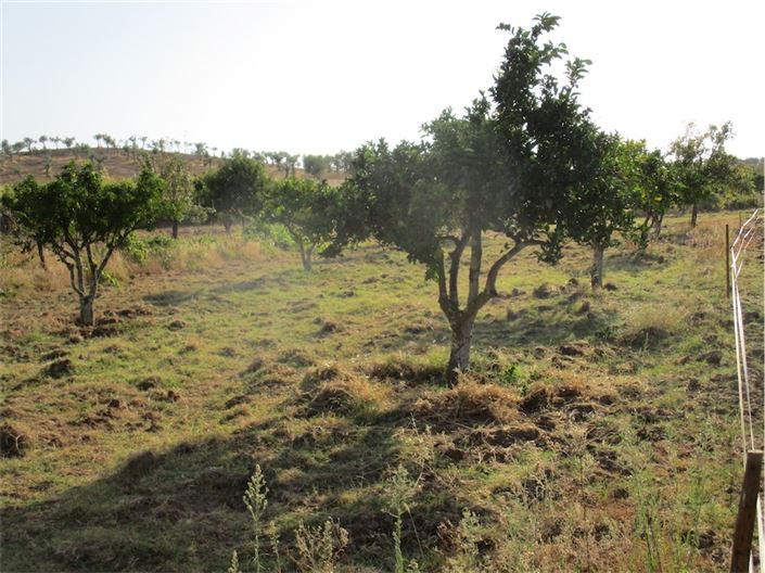 Image No.9-Property for sale