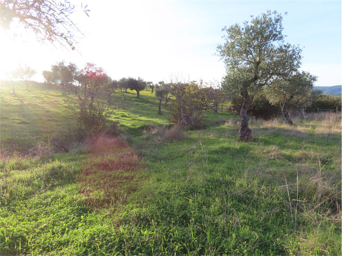 Image No.10-Property for sale