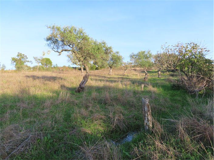 Image No.11-Property for sale