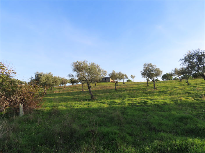 Image No.12-Property for sale