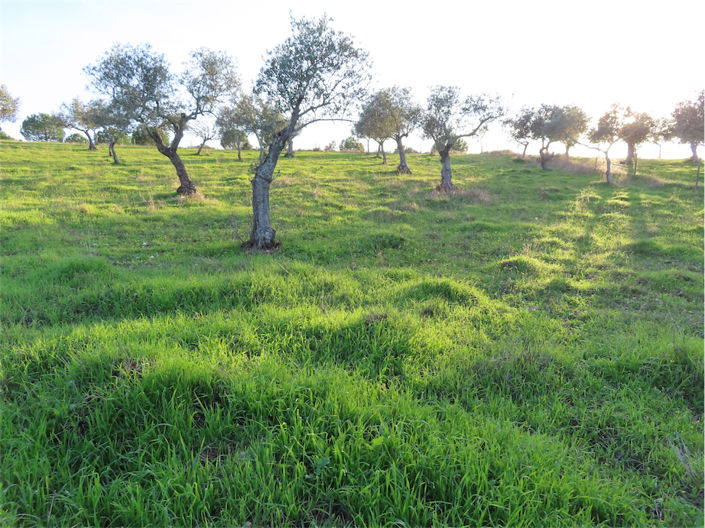 Image No.13-Property for sale