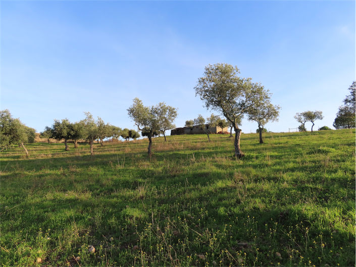 Image No.14-Property for sale