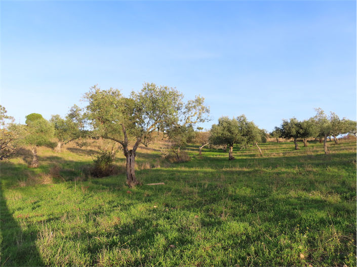 Image No.15-Property for sale