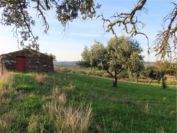 Image No.16-Property for sale