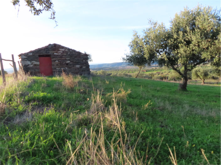 Image No.17-Property for sale