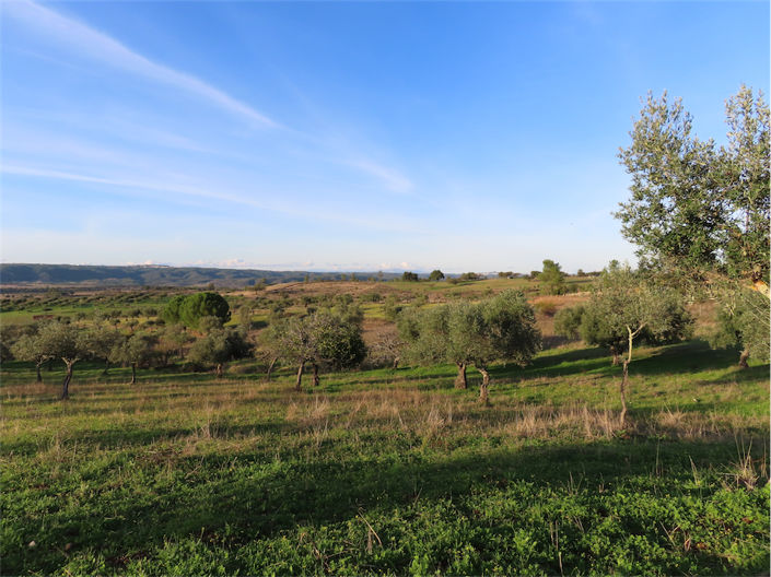 Image No.2-Property for sale