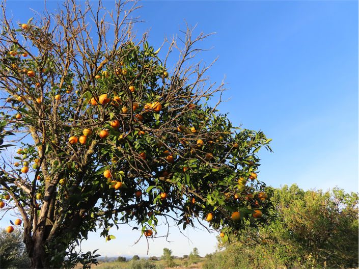 Image No.3-Property for sale