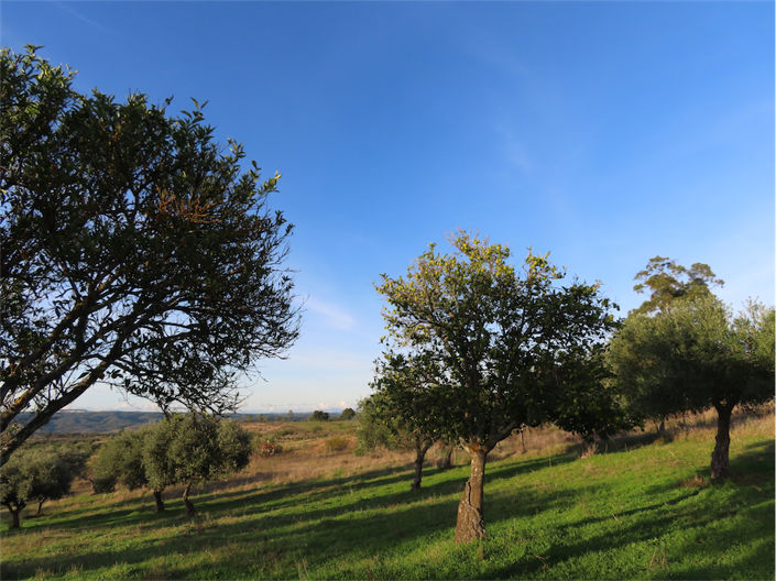 Image No.4-Property for sale