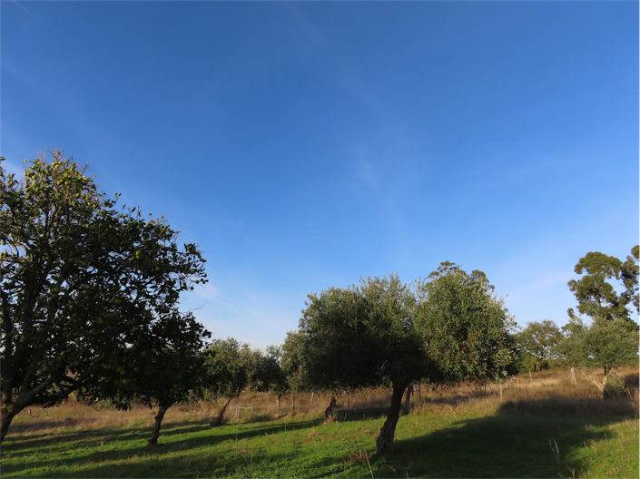 Image No.5-Property for sale