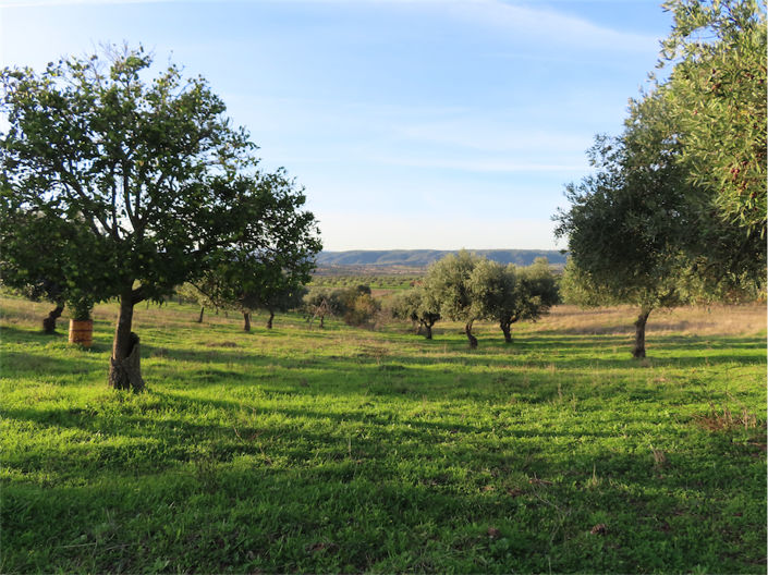 Image No.6-Property for sale