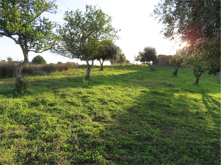 Image No.8-Property for sale