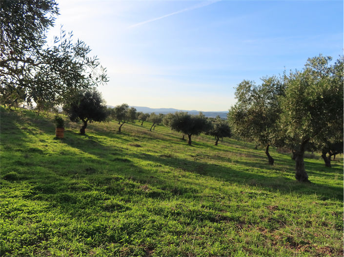 Image No.9-Property for sale