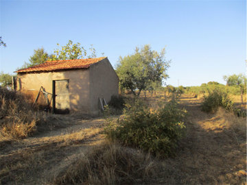 1 - Castelo Branco, Property
