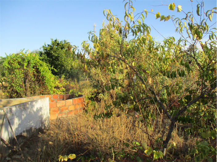 Image No.12-Property for sale