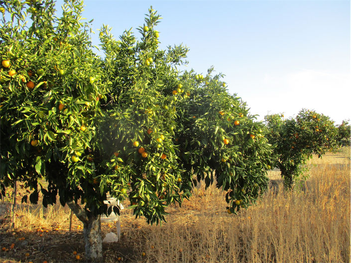 Image No.13-Property for sale