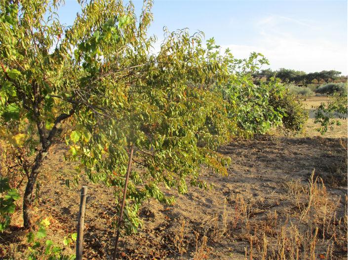 Image No.14-Property for sale