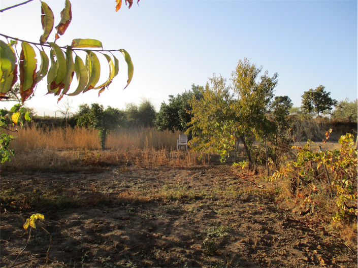 Image No.15-Property for sale