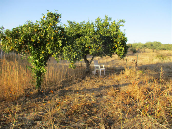 Image No.17-Property for sale