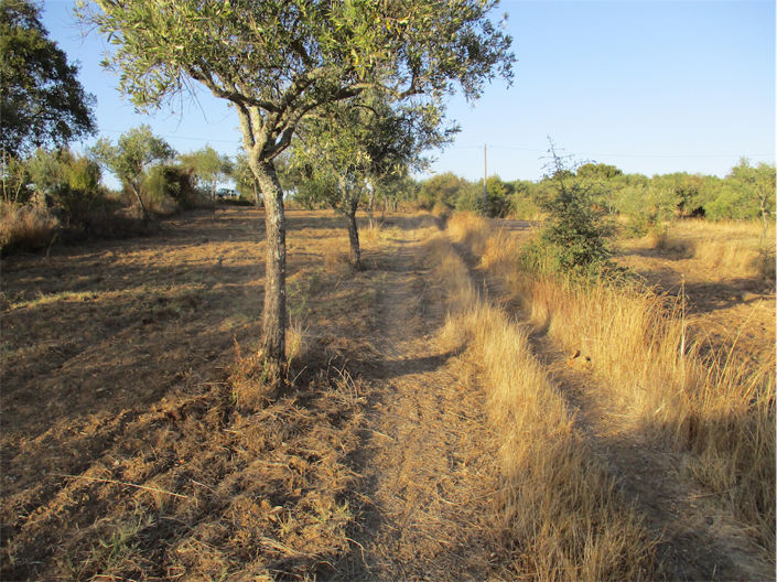 Image No.19-Property for sale