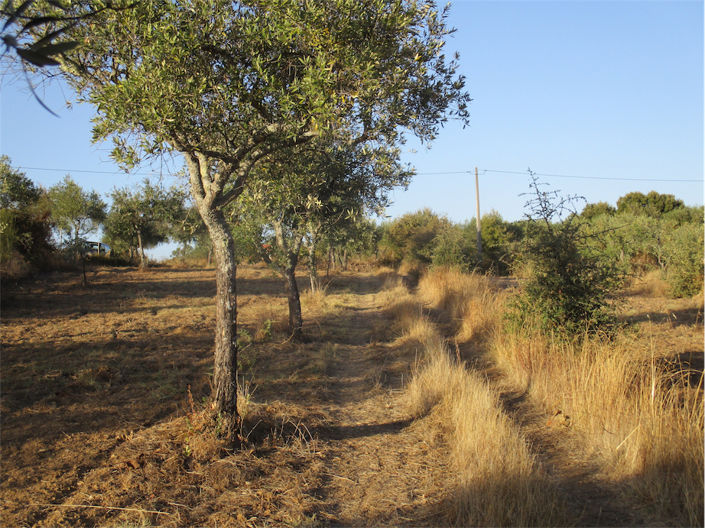 Image No.2-Property for sale