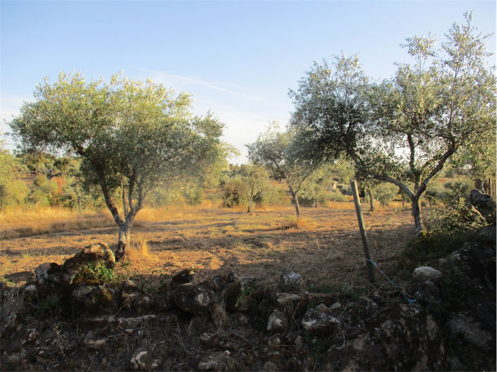 Image No.20-Property for sale