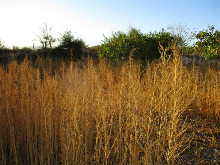 Image No.21-Property for sale