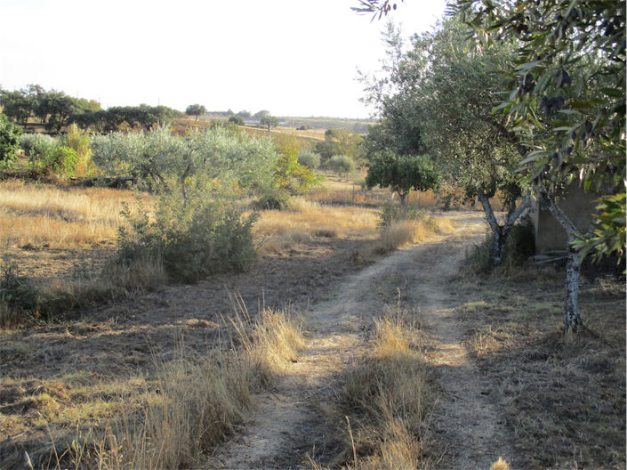 Image No.3-Property for sale