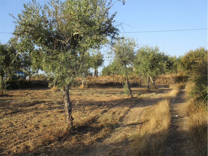 Image No.4-Property for sale