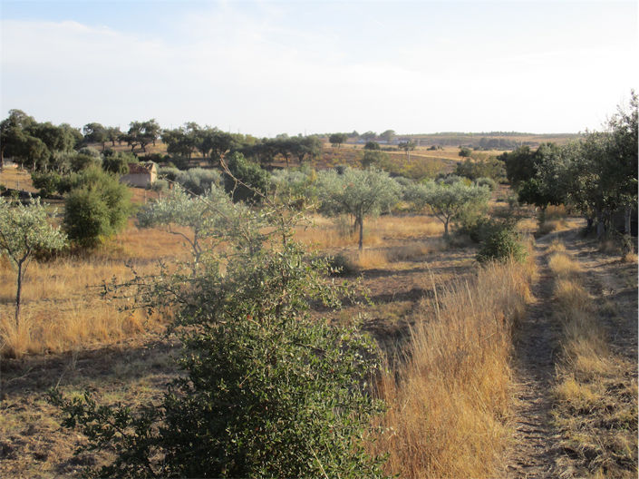 Image No.5-Property for sale