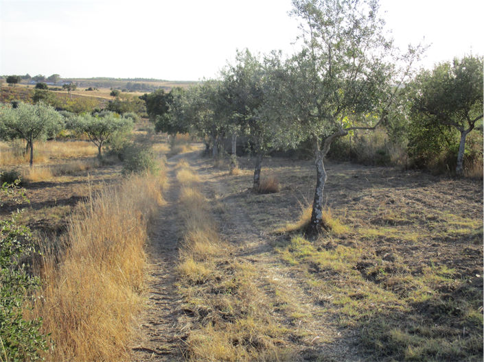 Image No.6-Property for sale