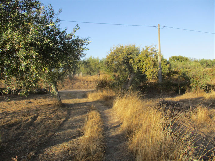 Image No.7-Property for sale