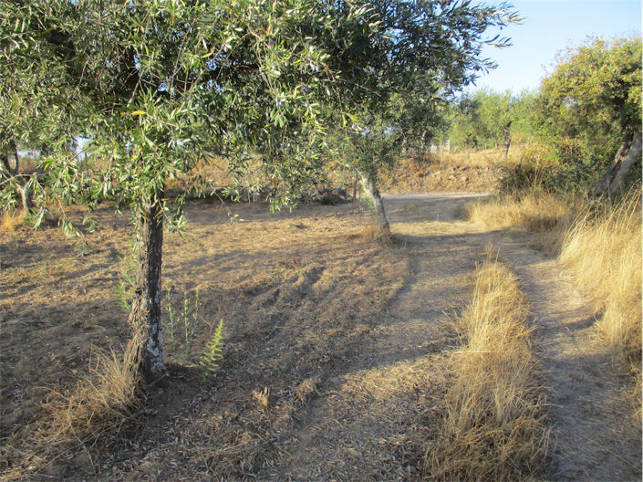 Image No.8-Property for sale