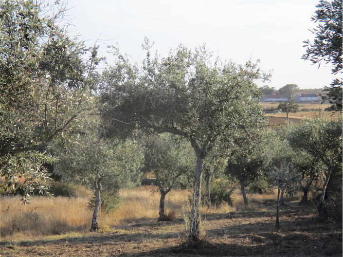 Image No.9-Property for sale