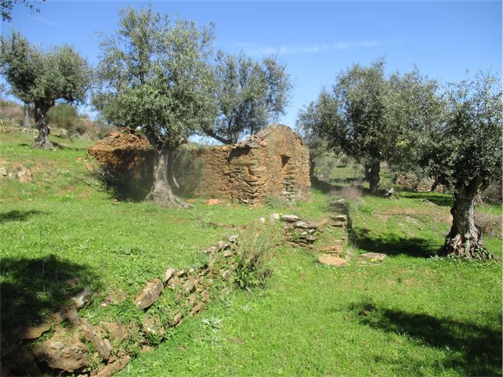 Image No.1-Ferme à vendre à Castelo Branco